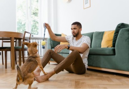 Renters (Reform) Bill – tenants with pets and what insurance will cover